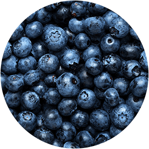 BLAUBEERE