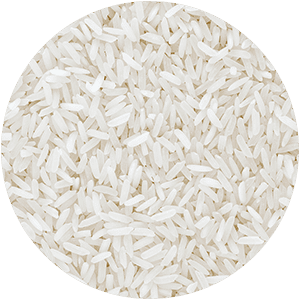 REISPROTEIN