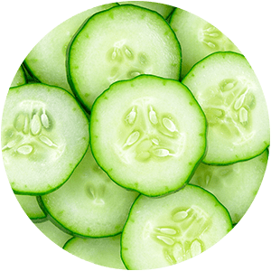 CUCUMBER SEEDS OIL
