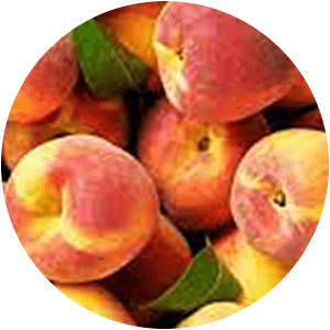 PEACH OIL