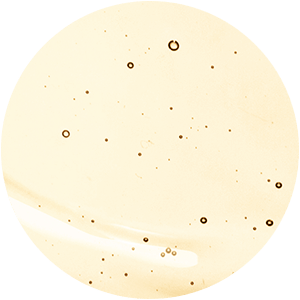 PEPTIDEK