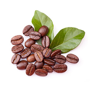 https://cocosolis.com/ms/wp-content/uploads/ingredient-coffee.jpg