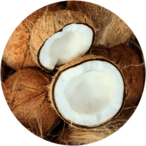 HUILE DE NOIX DE COCO