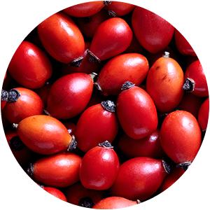 ACEITE DE ROSA MOSQUETA 
