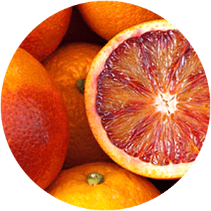 LARANJA VERMELHA