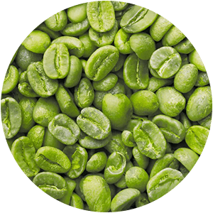 CAFÉ VERDE