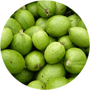 NOZ VERDE