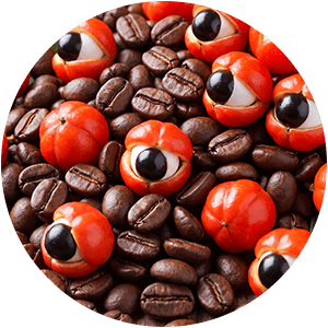 CAFEA ȘI GUARANA