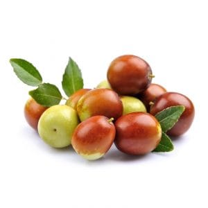 JOJOBA