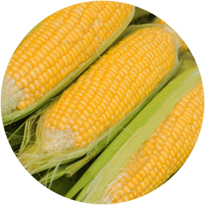ACTIVE INGREDIENT BOOSTER