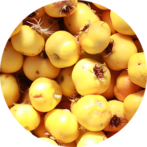 MARULA