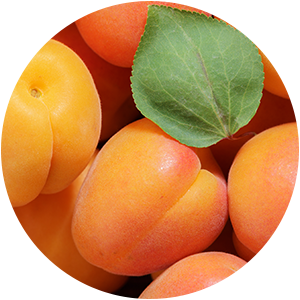 APRICOT OIL