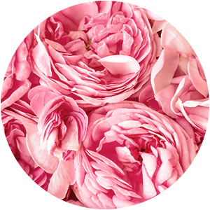 BULGARIAN ROSA DAMASCENA WATER