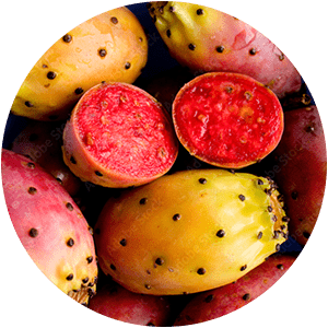 PRICKLY PEAR CACTUS WATER
