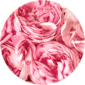 BULGARIAN ROSA DAMASCENA WATER