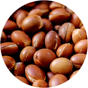 ARGAN OIL
