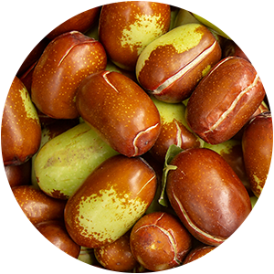 JOJOBA OIL