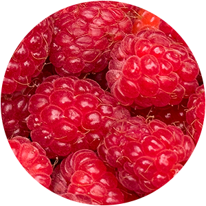 RASPBERRY SEED OIL
