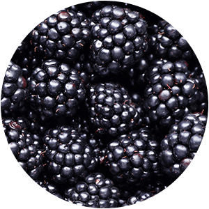 BLACKBERRY EXTRACT