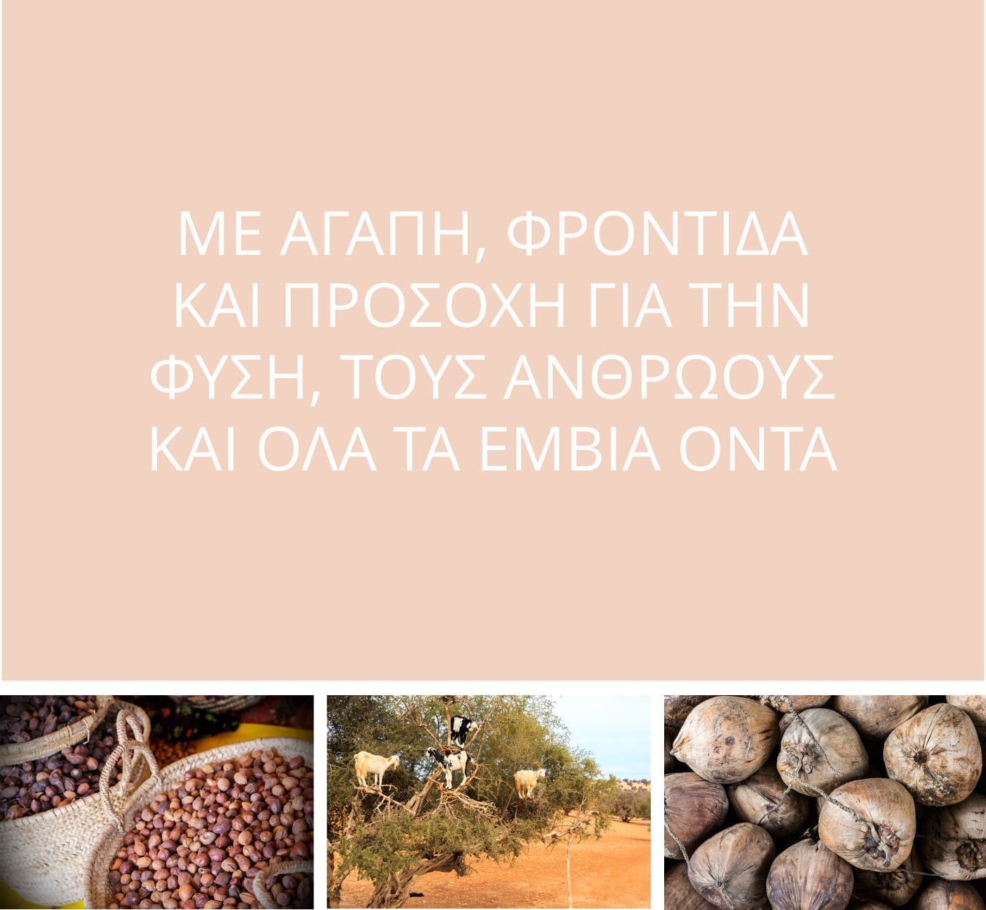 COCOSOLIS Κύπρος  |  Σχετικα με εμασ