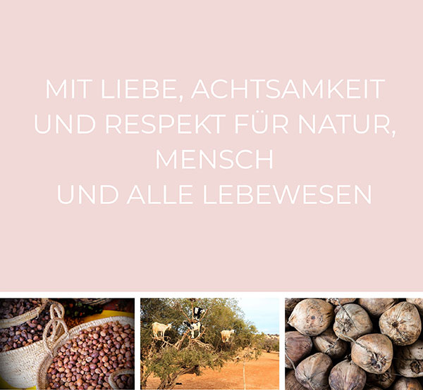 COCOSOLIS Deutschland  |  Über uns