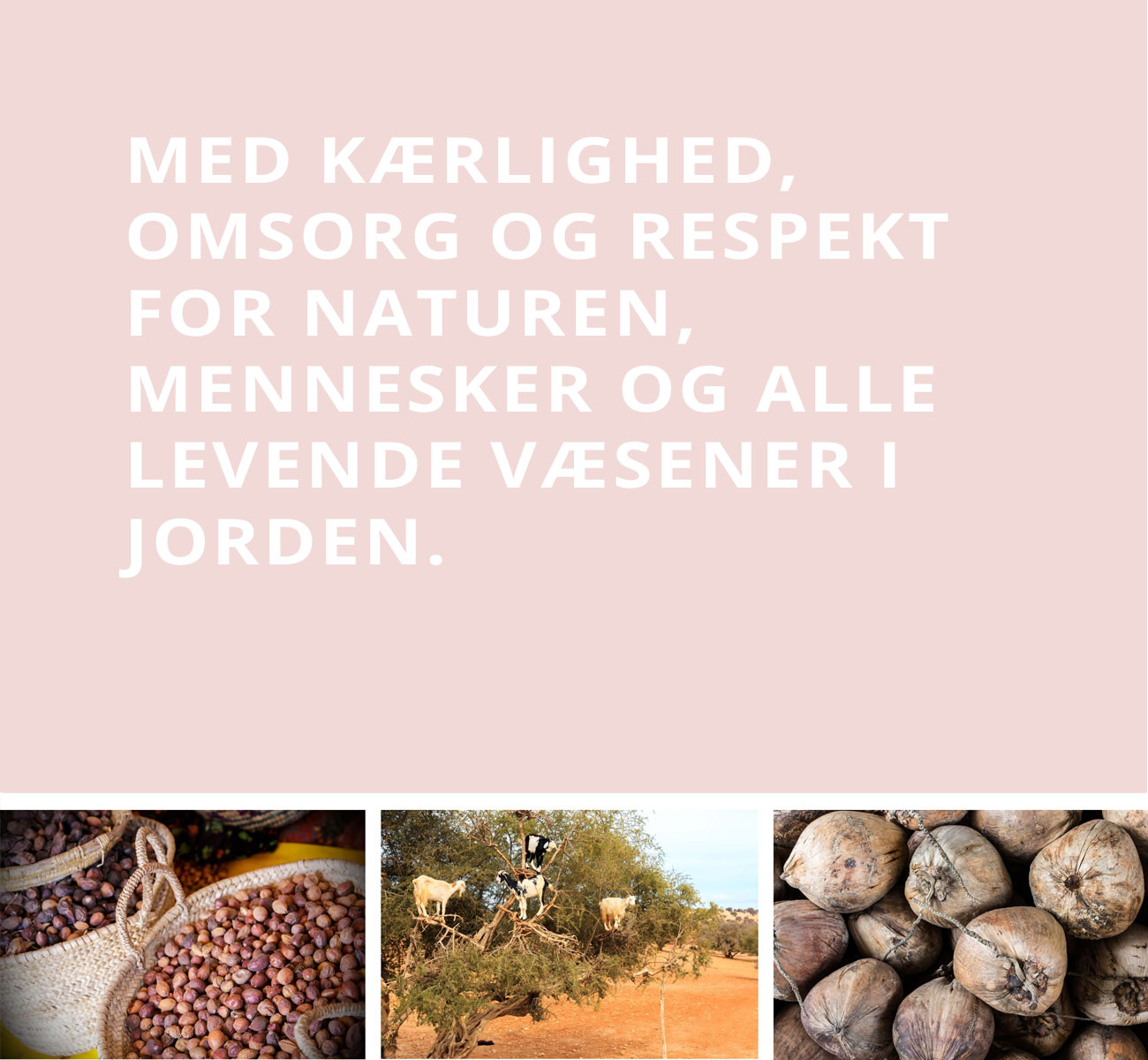 COCOSOLIS Danmark  |  Om os