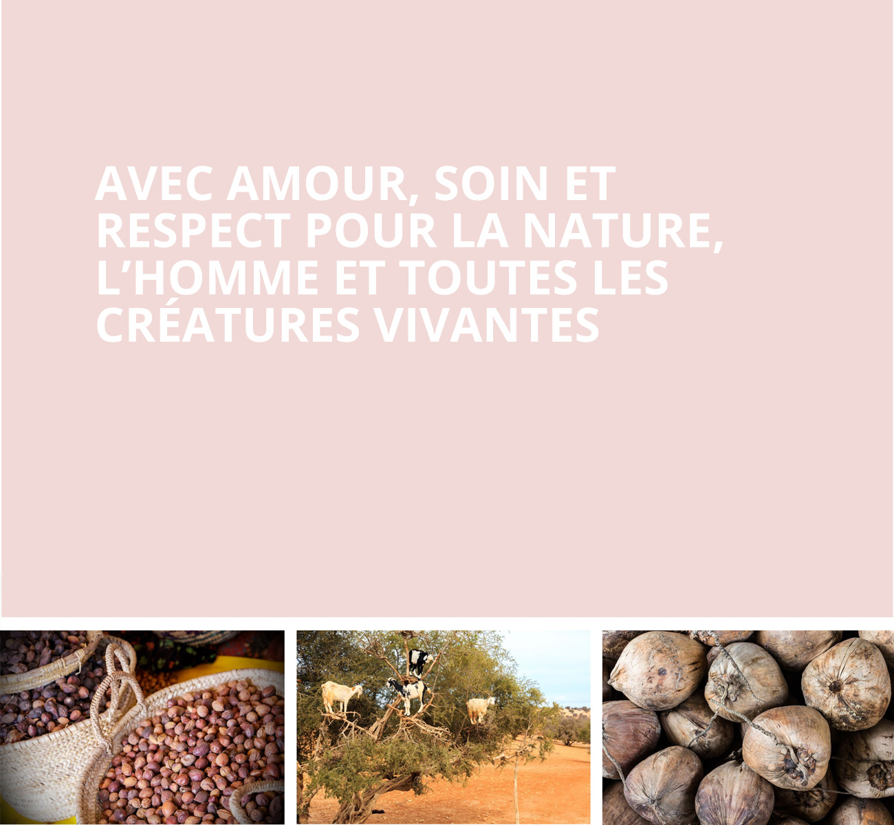 COCOSOLIS Suisse  |  Qui sommes-nous